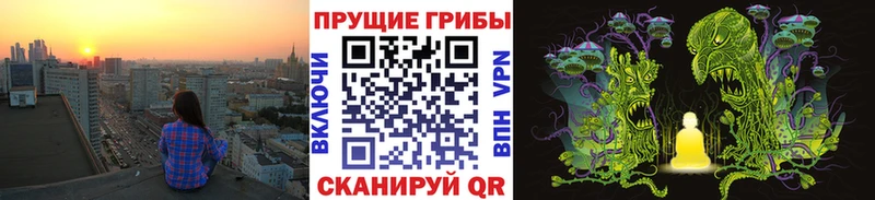 Псилоцибиновые грибы Psilocybe  купить наркотики сайты  Всеволожск 