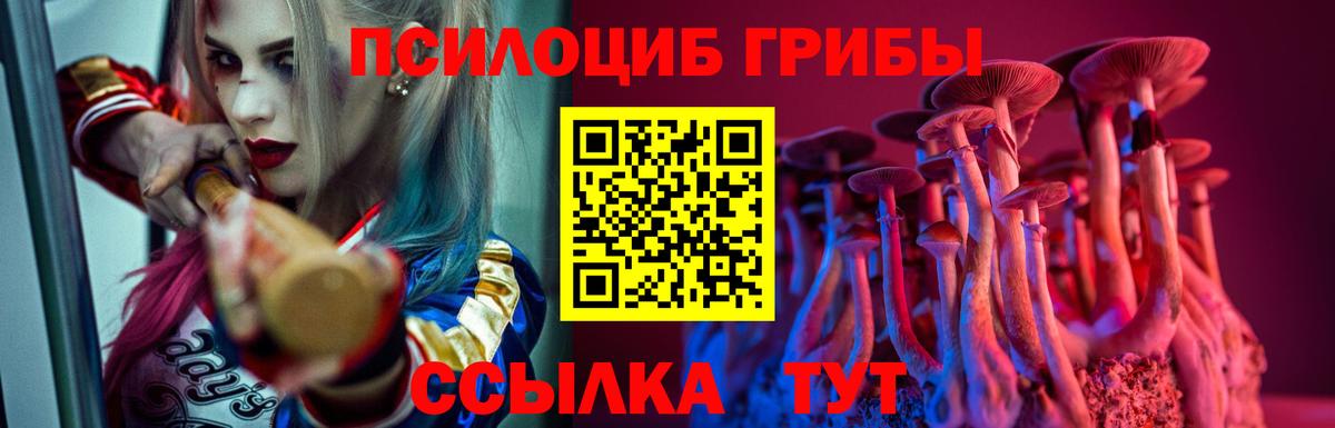 Всеволожск  Галлюциногенные грибы Magic Shrooms  Вход с VPN 