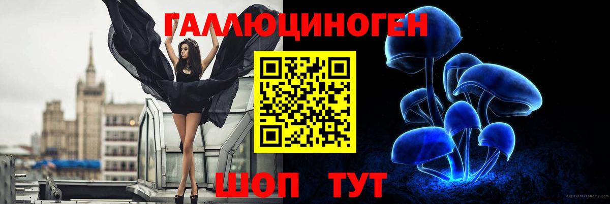 Псилоцибиновые грибы мухоморы Всеволожск